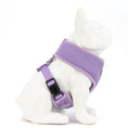 Load image into Gallery viewer, EcoBark Lavender Dog Harness - Over-the-Head Soft Mesh Vest Halter for XS to Medium Breed Dogs