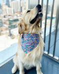 Load image into Gallery viewer, PARTY BANDANA
