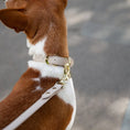 Load image into Gallery viewer, Collar - Vegan Leather - Copenhagen Nina Woof