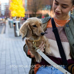 Collar - Vegan Leather - Copenhagen Nina Woof