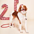 Load image into Gallery viewer, Coral Ombre Cotton Rope Dog Leash by Found My Animal | Adjustable & Handcrafted