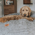 Load image into Gallery viewer, Bean Bag - Full - Faux Fur