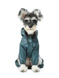 Load image into Gallery viewer, Ultralight Full covered hooded waterproof dog jacket - Blue