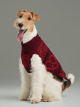 Load image into Gallery viewer, Pretzel Pet Sweater - Burgundy Red