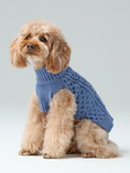 Load image into Gallery viewer, Pet Sweater Vest - Ice Blue