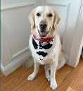 Load image into Gallery viewer, Cow Print Rodeo Bandana Dog Collar - Southlake Paws
