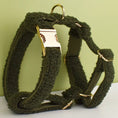 Load image into Gallery viewer, Cozy Olive Teddy Set
