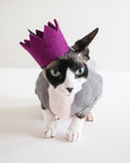 Load image into Gallery viewer, BRIGHT PARTY CROWNS