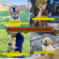 Load image into Gallery viewer, Plaid Dark Blue Set