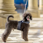 Personalized Denim Dog Harness Vest