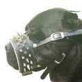 Load image into Gallery viewer, The "Danger" muzzle