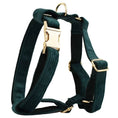 Load image into Gallery viewer, Dark Green Corduroy Set