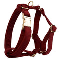 Load image into Gallery viewer, Dark Red Corduroy Set