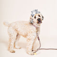 Load image into Gallery viewer, Dark Tan Rope Dog Leash by Found My Animal | Adjustable & Handcrafted