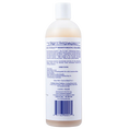 Load image into Gallery viewer, Day to Day Moisturizing Shampoo 16oz by Chris Christensen