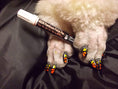 Load image into Gallery viewer, Polish Pen Bundle - Basics