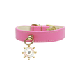 Load image into Gallery viewer, Nautical Dog Charm Collar