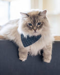 Load image into Gallery viewer, CLASSIC BANDANA - Southlake Paws