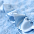 Load image into Gallery viewer, Baby Ruffle Dog Blanket (Blue)