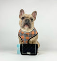 Load image into Gallery viewer, CHEWNEL PLUSH DOG TOY - Southlake Paws