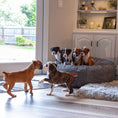 Load image into Gallery viewer, 50 Inch Forever Dog Bed (Waterproof) - Terry Corduroy