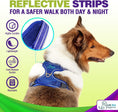 Load image into Gallery viewer, Dog Harness Walking kit and Leash Set