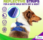 Dog Harness Walking kit and Leash Set