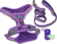 Load image into Gallery viewer, Dog Harness Walking kit and Leash Set