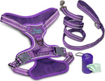 Dog Harness Walking kit and Leash Set