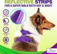 Load image into Gallery viewer, Dog Harness Walking kit and Leash Set