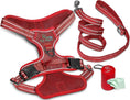Load image into Gallery viewer, Dog Harness Walking kit and Leash Set
