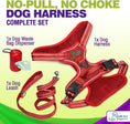 Load image into Gallery viewer, Dog Harness Walking kit and Leash Set
