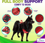 Dog Harness Walking kit and Leash Set