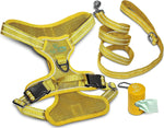 Dog Harness Walking kit and Leash Set