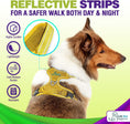 Load image into Gallery viewer, Dog Harness Walking kit and Leash Set