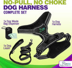 Dog Harness Walking kit and Leash Set