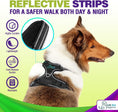 Load image into Gallery viewer, Dog Harness Walking kit and Leash Set