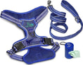 Load image into Gallery viewer, Dog Harness Walking kit and Leash Set