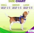 Load image into Gallery viewer, Dog Harness Walking kit and Leash Set