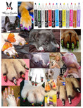 Load image into Gallery viewer, Pawdicure Polish Pens - Choose From 13 Colors! - Dog Nail Polish