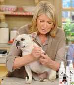 Pawdicure Polish Pens - Choose From 13 Colors! - Dog Nail Polish