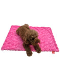 Load image into Gallery viewer, Bella Dog Blanket, Hot Pink