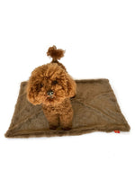 Blanket, Bella Mocha