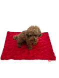 Load image into Gallery viewer, Blanket, Bella Red