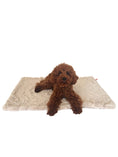 Load image into Gallery viewer, Blanket, Bella Taupe
