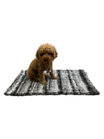 Blanket, Python 24/7 NEW