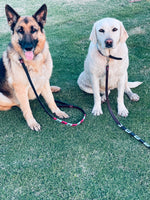 Black with Turquoise Dog Leashe