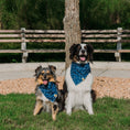 Load image into Gallery viewer, Inky Stars Dog Bandana