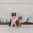 Load image into Gallery viewer, Happy Jack-O-Lanterns Dog Bandana