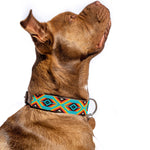 Bahamas Sambboho dog collar (with center D-ring)
